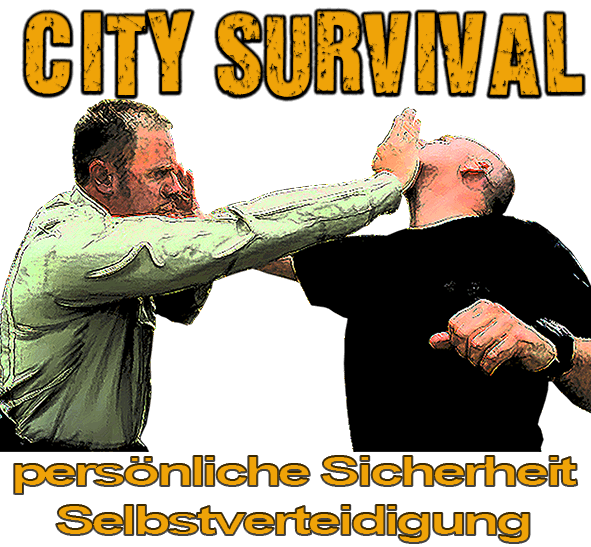 city survival